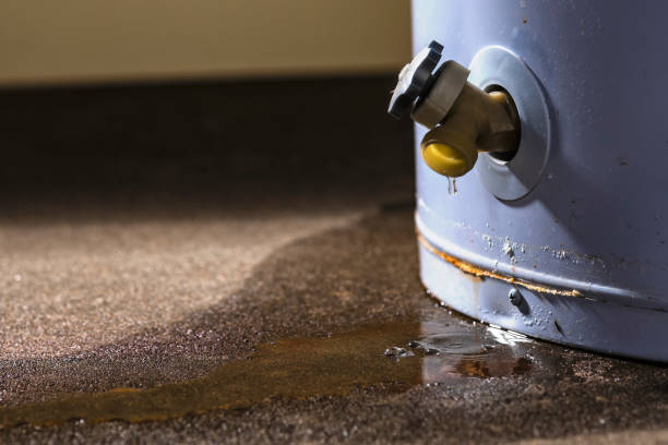 Best Water damage restoration near me  in Chadwicks, NY