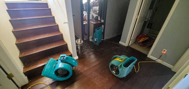 Best Carpet water damage restoration  in Chadwicks, NY