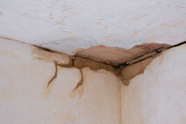 Best 24/7 water damage repair  in Chadwicks, NY