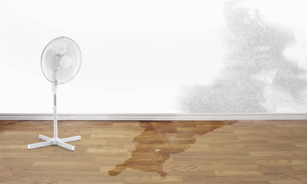 Best Emergency water damage restoration  in Chadwicks, NY